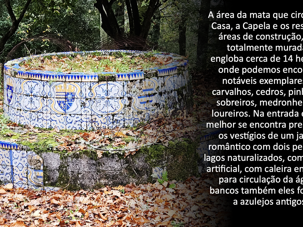 Casa da Cerca - Gouveia - Image 31