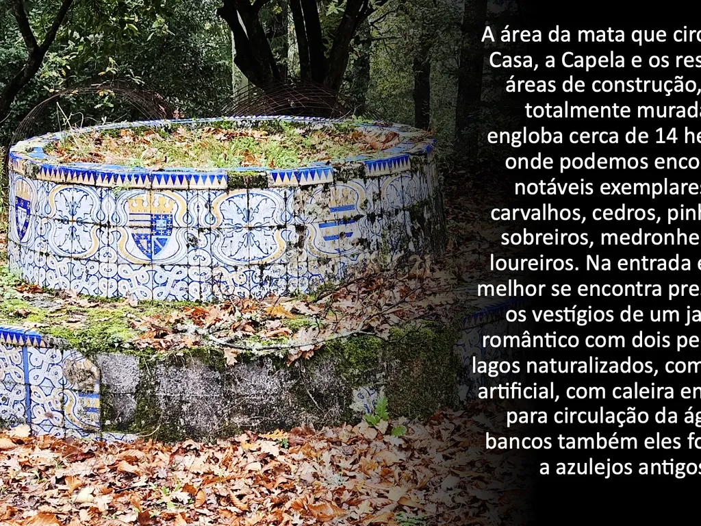 Casa da Cerca - Gouveia - Image 31