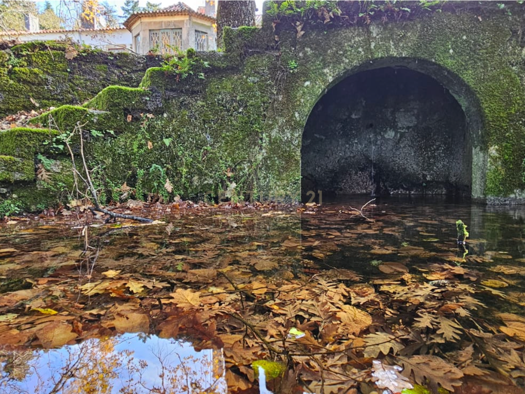 Casa da Cerca - Gouveia - Image 3