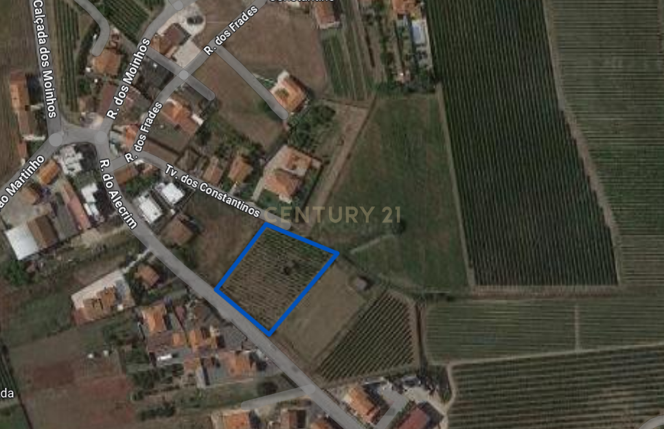Terreno para construção - Ventosa, Torres Vedras - Image 3