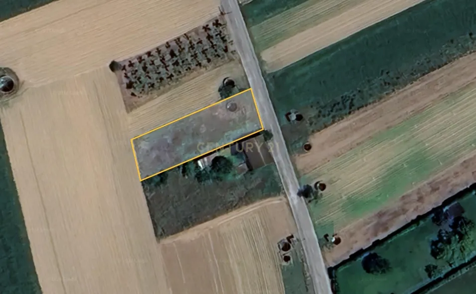 Terreno para Venda em Ouca - Vagos - Image 3
