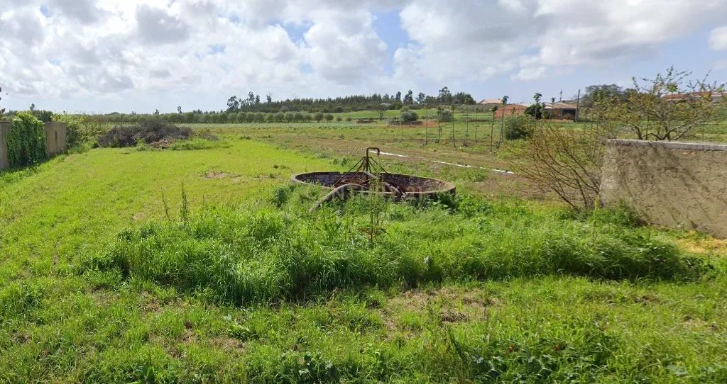 Terreno para Venda em Ouca - Vagos - Image 5