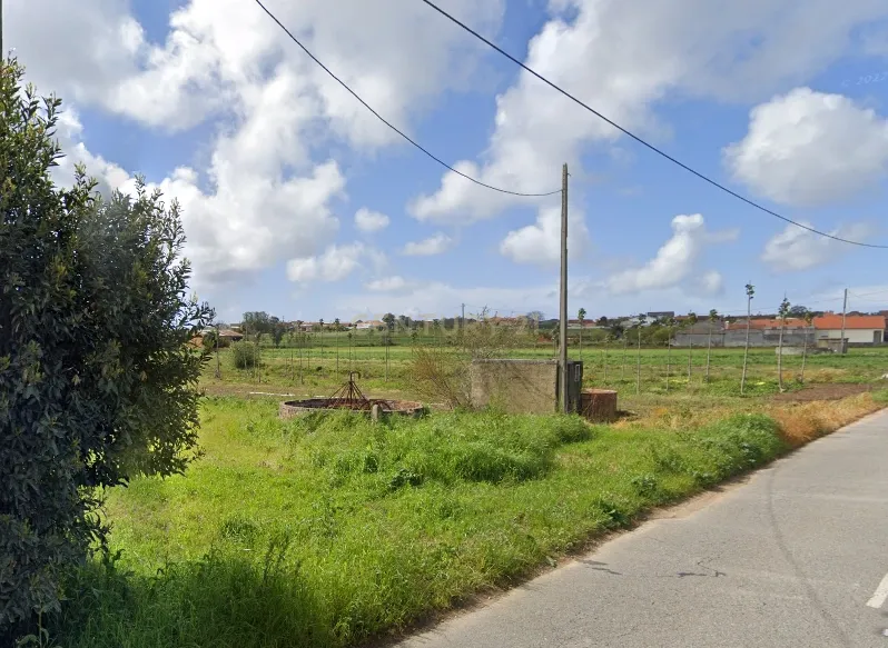 Terreno para Venda em Ouca - Vagos - Image 6
