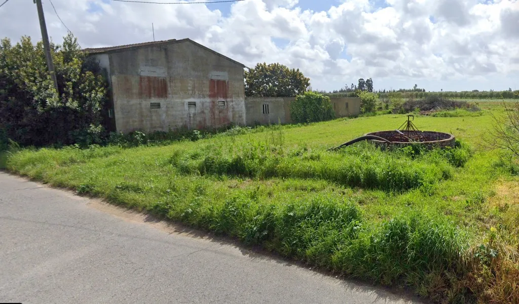 Terreno para Venda em Ouca - Vagos - Image 1