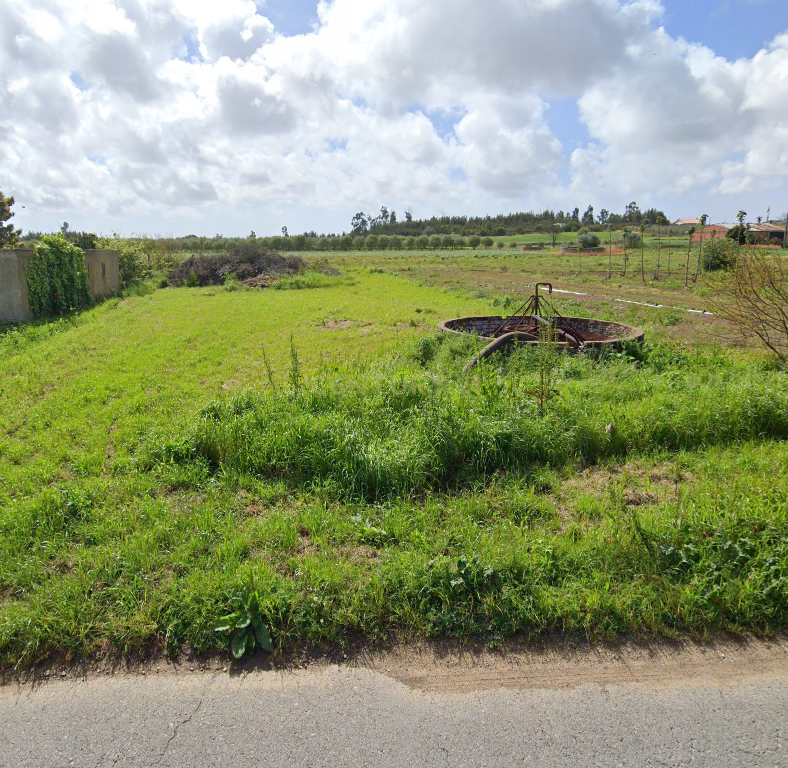Terreno para Venda em Ouca - Vagos - Image 2