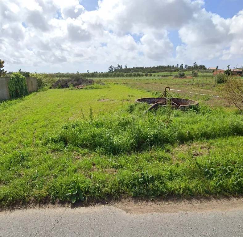 Terreno para Venda em Ouca - Vagos - Image 2