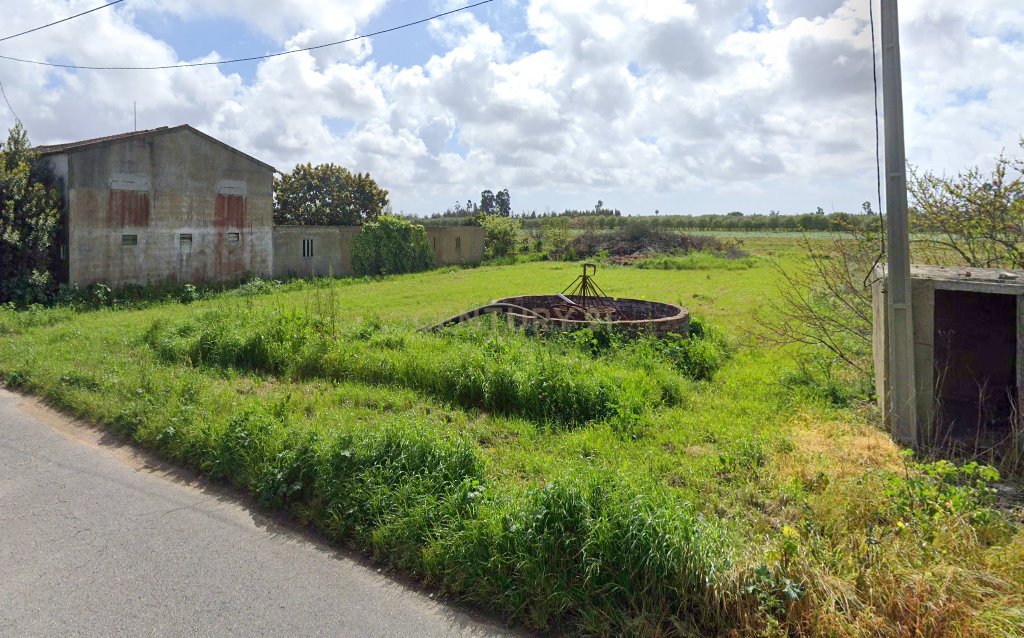Terreno para Venda em Ouca - Vagos - Image 4