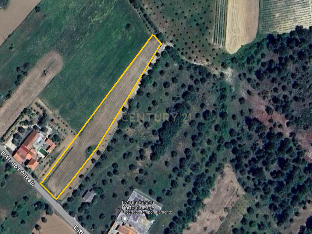Terreno misto para construção - Image 9