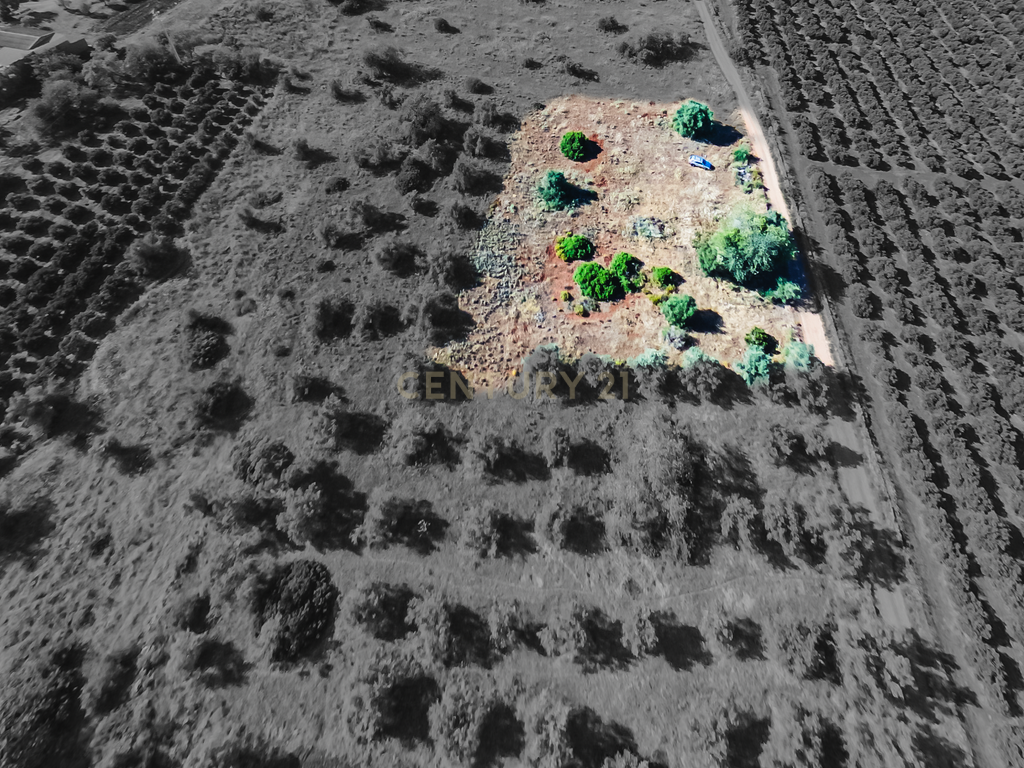 Terreno rustico para cultura de sequeiro - Image 2