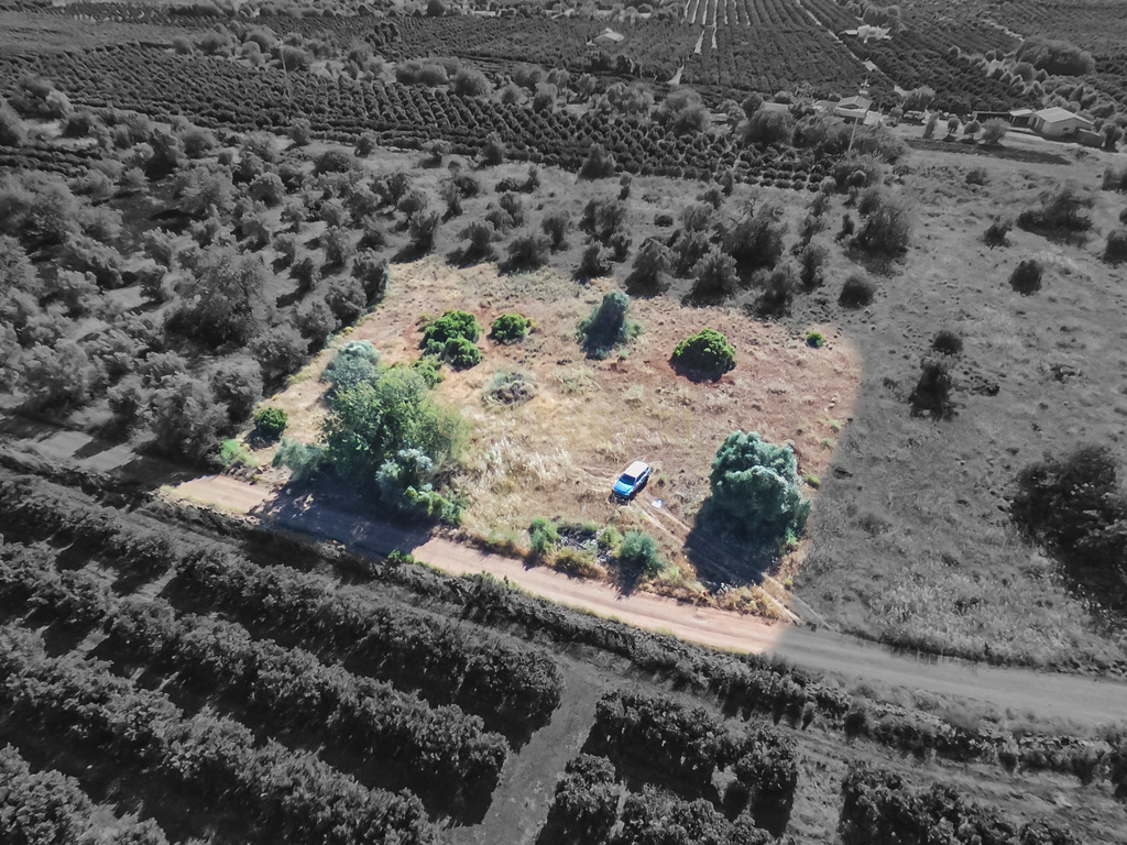 Terreno rustico para cultura de sequeiro - Image 12