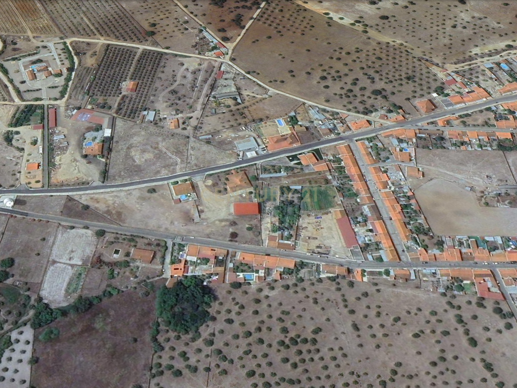 Terreno à Venda em Cano, Sousel, Portalegre - Image 15