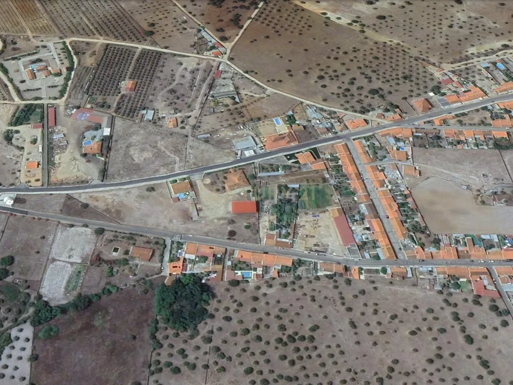 Terreno à Venda em Cano, Sousel, Portalegre - Image 14