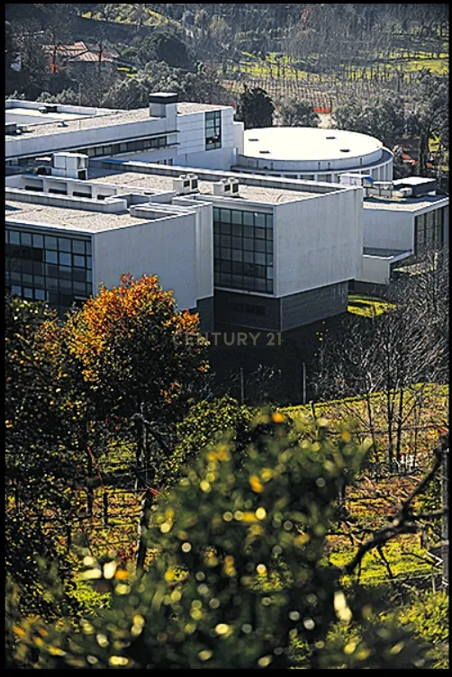 Quinta, Antigo Edifício do ISAVE (universidade) na Póvoa de Lanhoso - Image 2