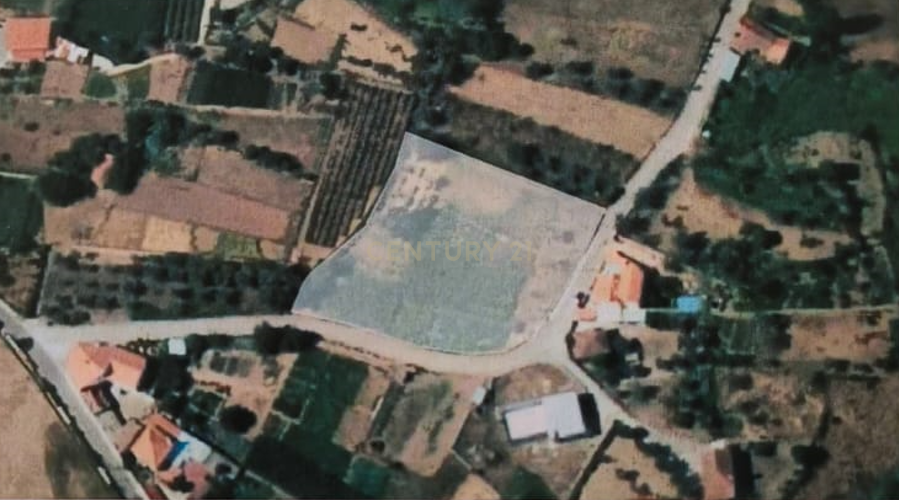 TERRENO COM 3190 M2 (TEM FURO PRÓPRIO COM MUITA ÁGUA) - Image 2