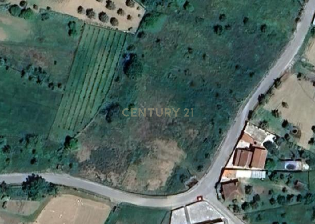 TERRENO COM 3190 M2 (TEM FURO PRÓPRIO COM MUITA ÁGUA) - Image 1
