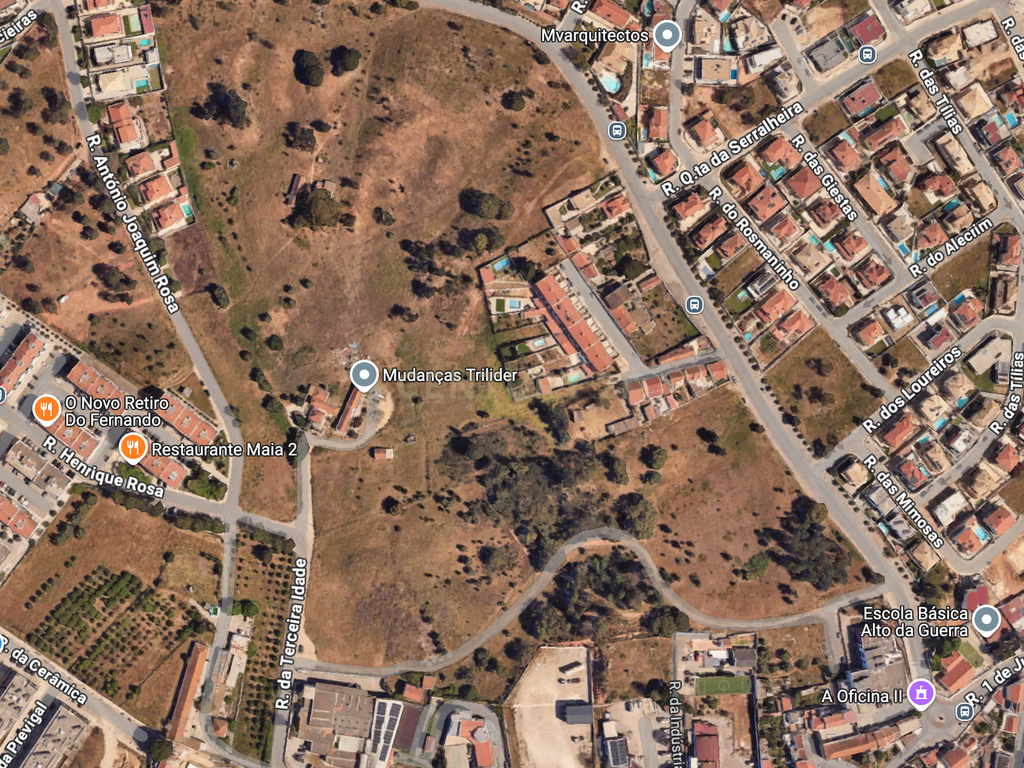 Terreno com 5.102 m2 c/ Viabilidade de Construção para 4.082 m2 - Image 7