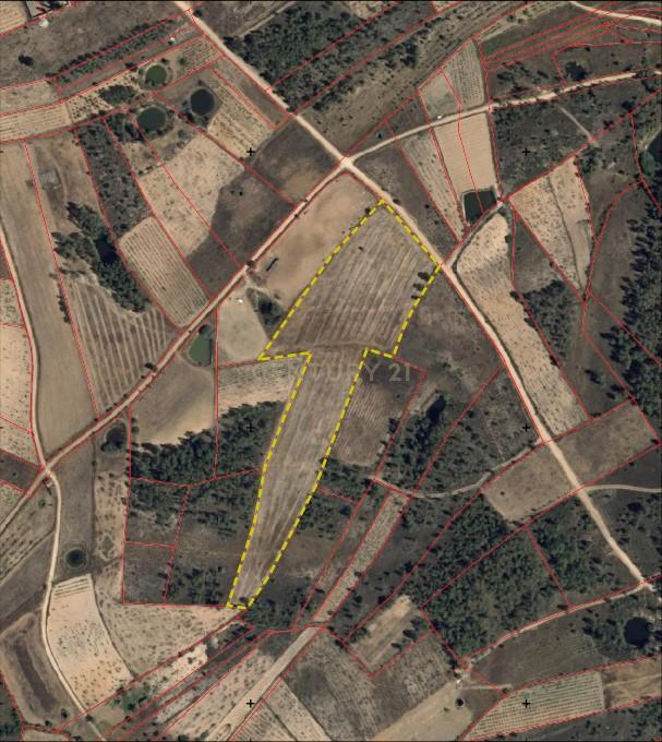 Terreno Rústico com 14.000m2, Chã da Vâ, Castelo Branco - Image 1