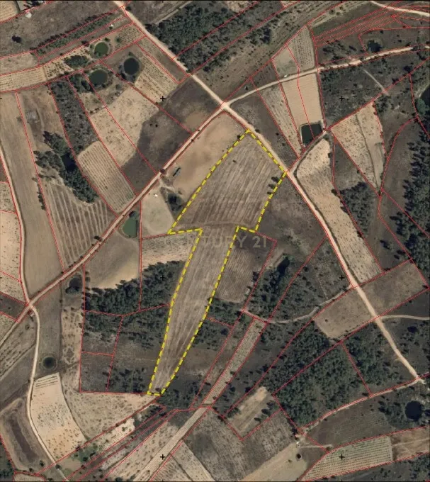 Terreno Rústico com 14.000m2, Chã da Vâ, Castelo Branco - Image 1