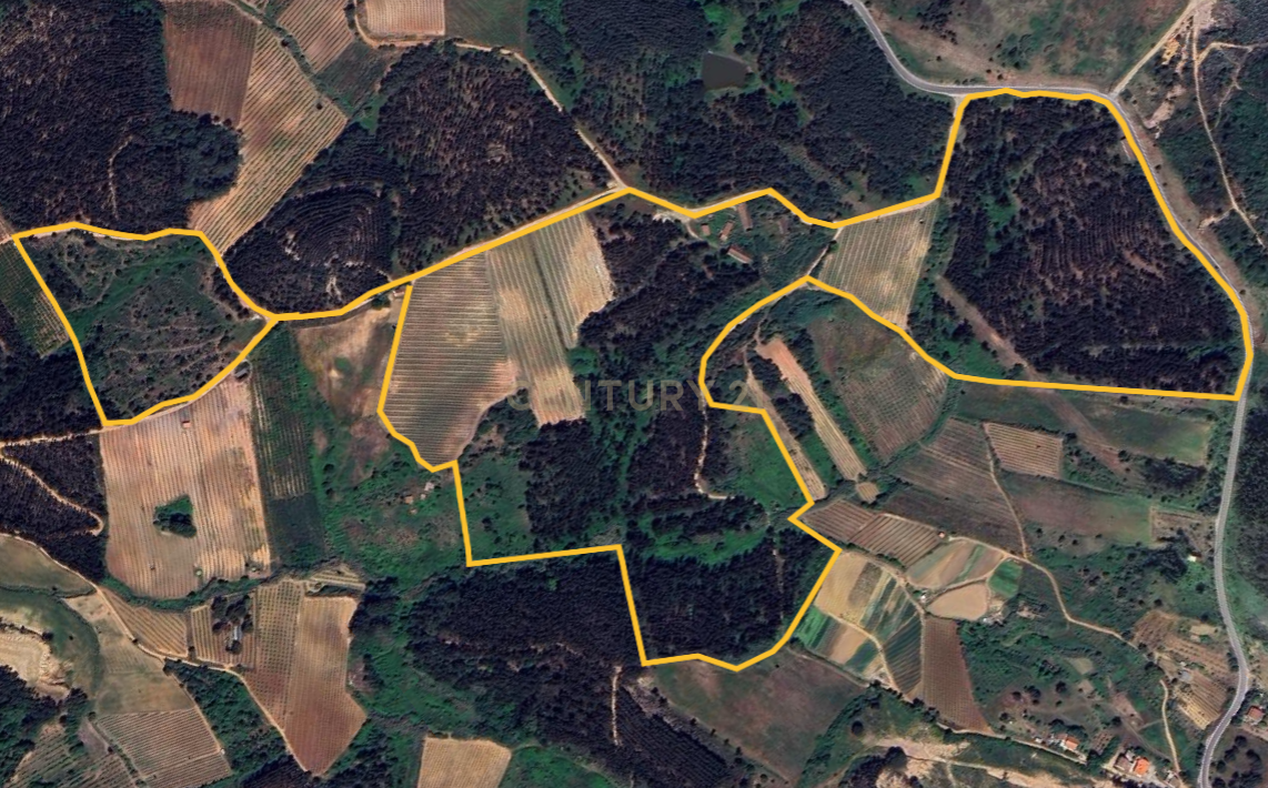 Terreno com 21 hectares com Potencial Agrícola ou Turístico - Mafra - Image 9