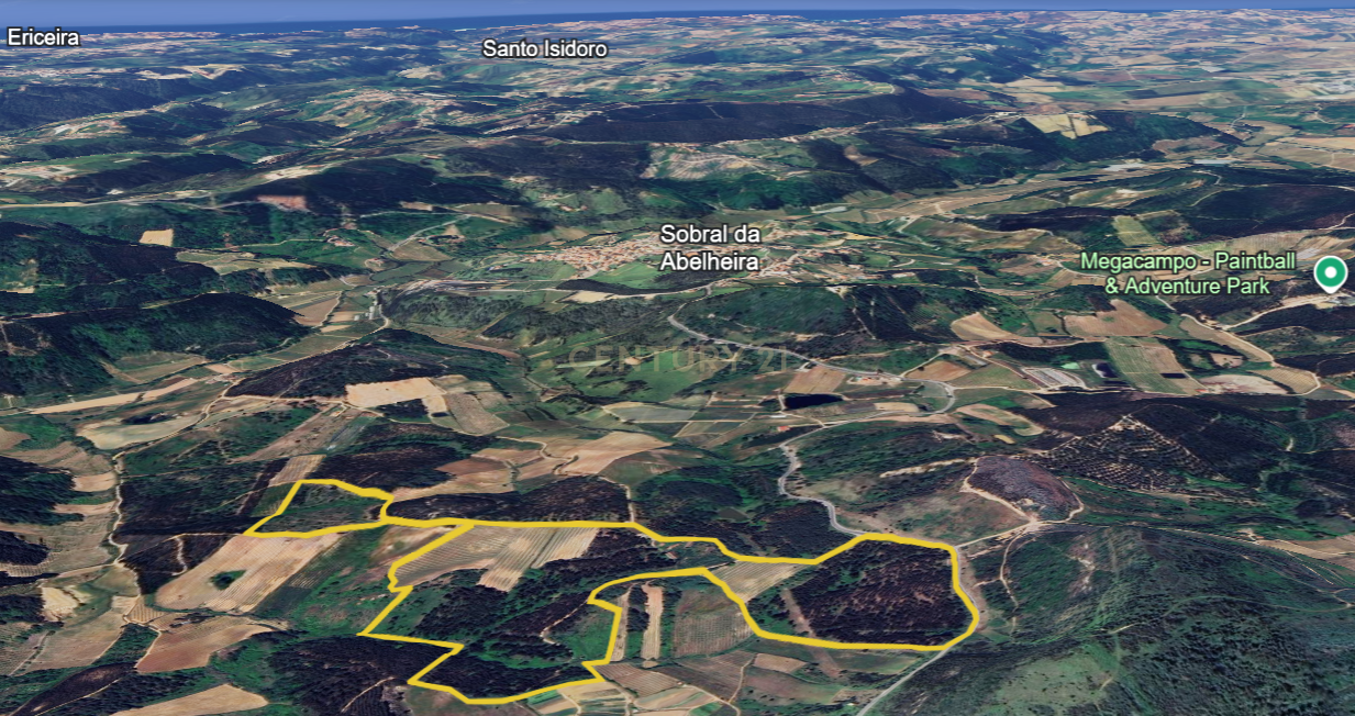 Terreno com 21 hectares com Potencial Agrícola ou Turístico - Mafra - Image 10
