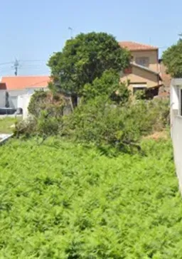Casa para Recuperar em Ovar - 3 Quartos e 2 Casas de Banho - Image 11