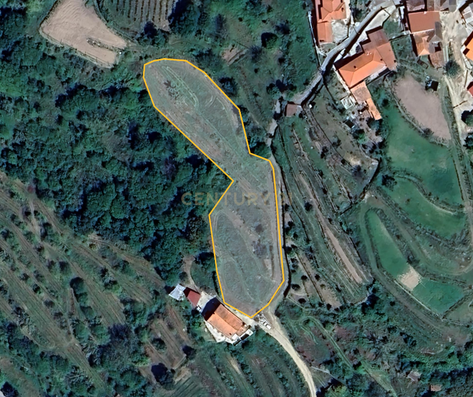 Terreno com projeto para dispensa agrícola em Santa Cruz do Douro, Baião - Image 11