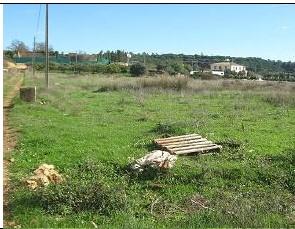 Terreno Rústico no Ludo, Almancil – 8.400 m² Próximo da Quinta do Lago - Image 3