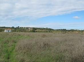 Terreno Rústico no Ludo, Almancil – 8.400 m² Próximo da Quinta do Lago - Image 4