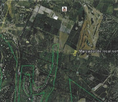 Terreno Rústico no Ludo, Almancil – 8.400 m² Próximo da Quinta do Lago - Image 9