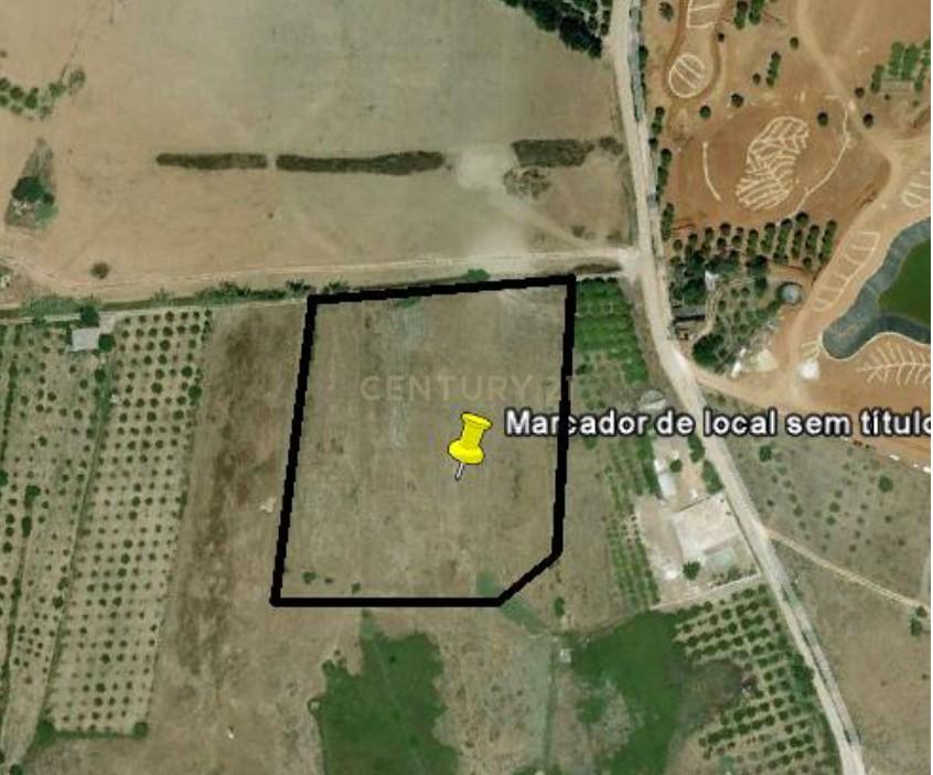 Terreno Rústico no Ludo, Almancil – 8.400 m² Próximo da Quinta do Lago - Image 10