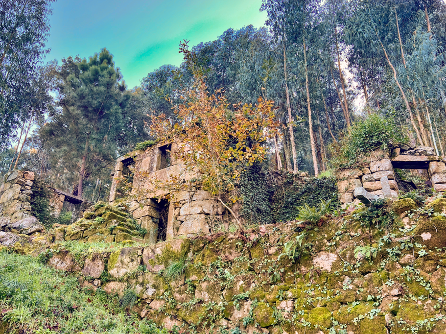 Quinta Exclusiva, rodeada de natureza e com vistas fantásticas sobre o Rio Douro - Image 5