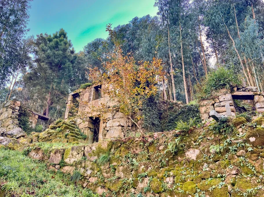 Quinta Exclusiva, rodeada de natureza e com vistas fantásticas sobre o Rio Douro - Image 5