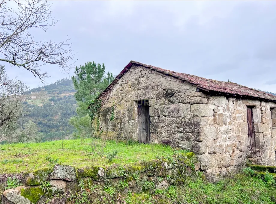 Quinta rodeada de natureza e com vistas fantásticas sobre o Rio Douro - Image 11