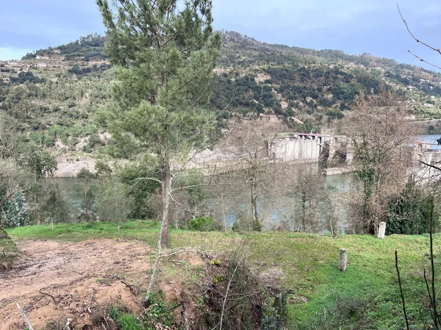 Quinta rodeada de natureza e com vistas fantásticas sobre o Rio Douro - Image 12