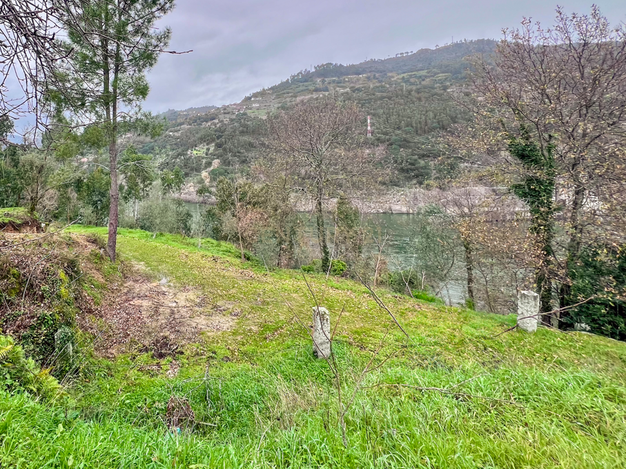 Quinta rodeada de natureza e com vistas fantásticas sobre o Rio Douro - Image 2
