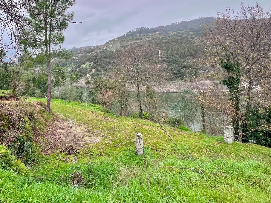 Quinta rodeada de natureza e com vistas fantásticas sobre o Rio Douro - Image 2
