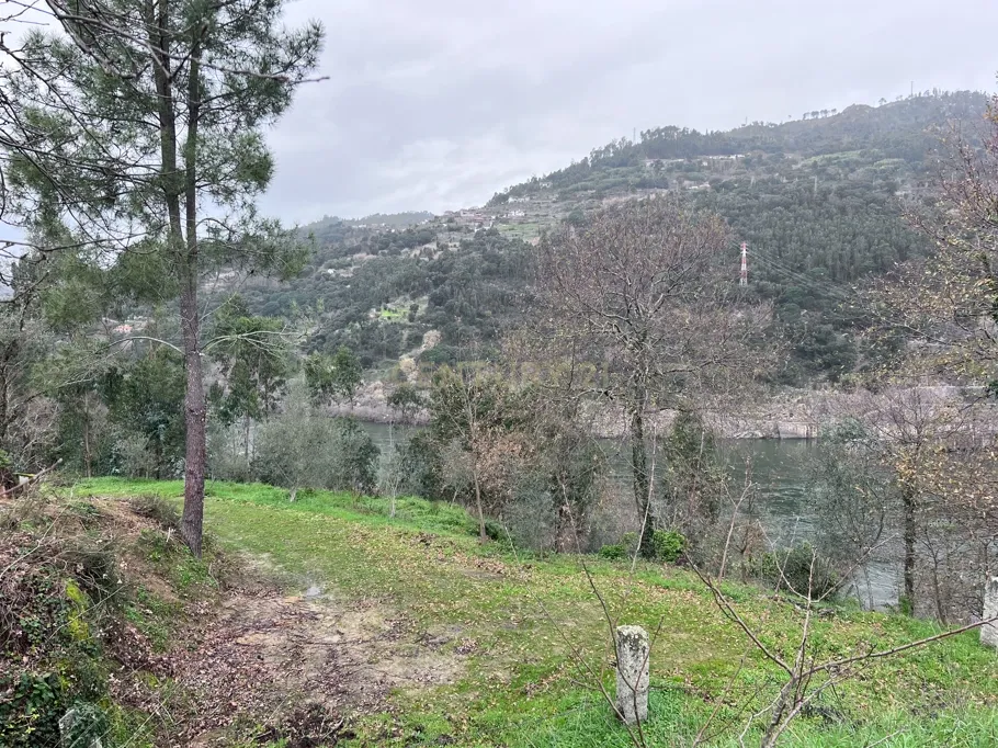 Quinta rodeada de natureza e com vistas fantásticas sobre o Rio Douro - Image 9