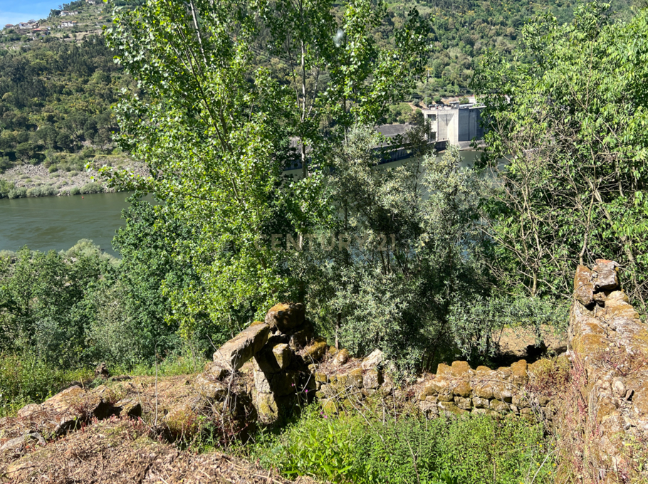 Quinta rodeada de natureza e com vistas fantásticas sobre o Rio Douro - Image 5