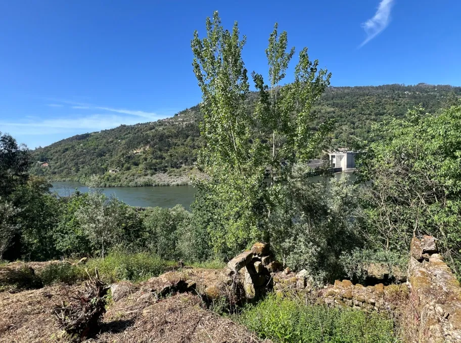 Quinta rodeada de natureza e com vistas fantásticas sobre o Rio Douro - Image 7