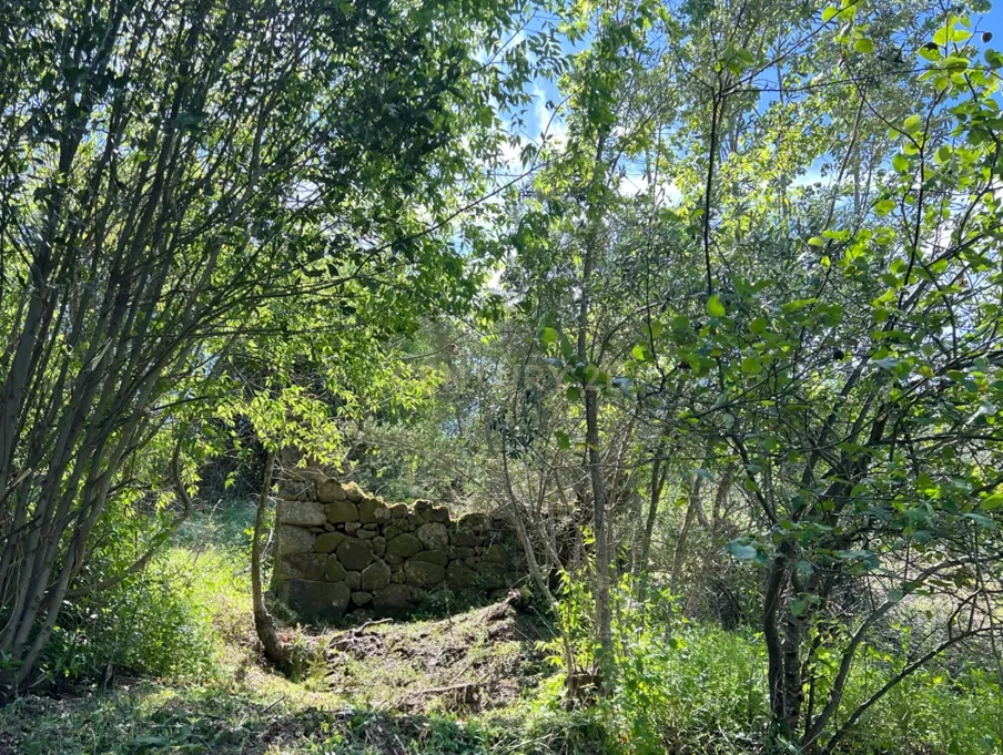 Quinta rodeada de natureza e com vistas fantásticas sobre o Rio Douro - Image 8