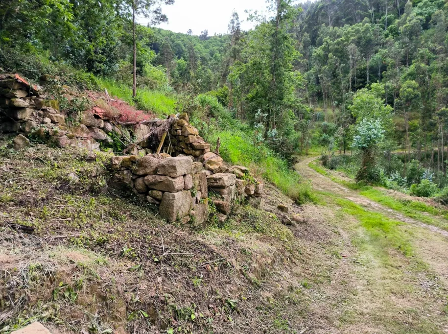 Quinta rodeada de natureza e com vistas fantásticas sobre o Rio Douro - Image 6
