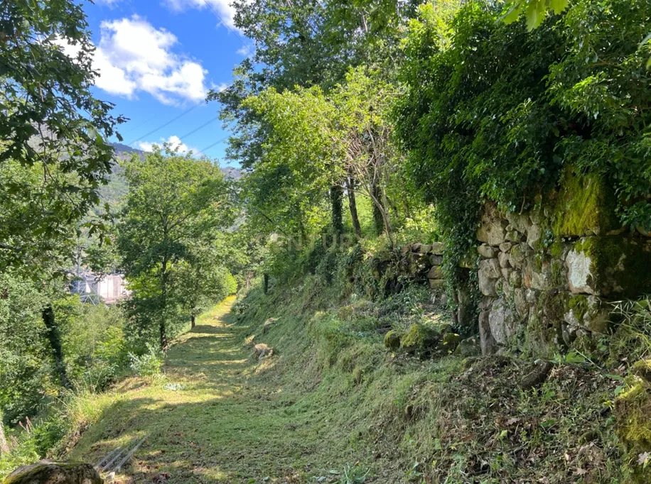Quinta rodeada de natureza e com vistas fantásticas sobre o Rio Douro - Image 10