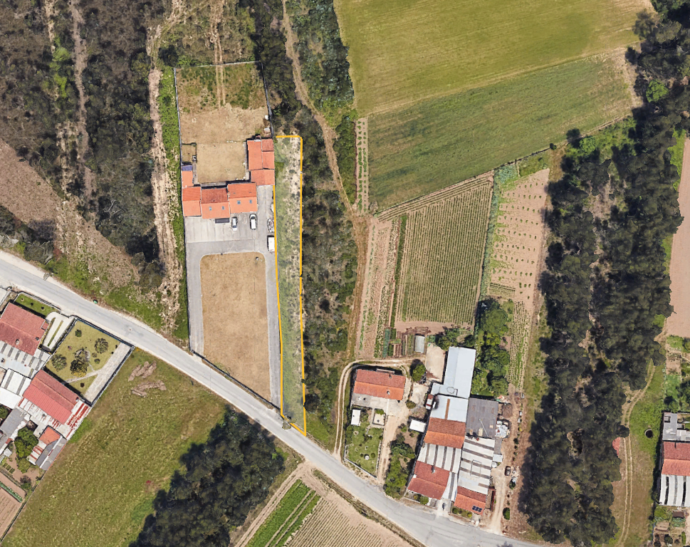 Terreno Rústico Novo em Vagos, Aveiro - Image 3
