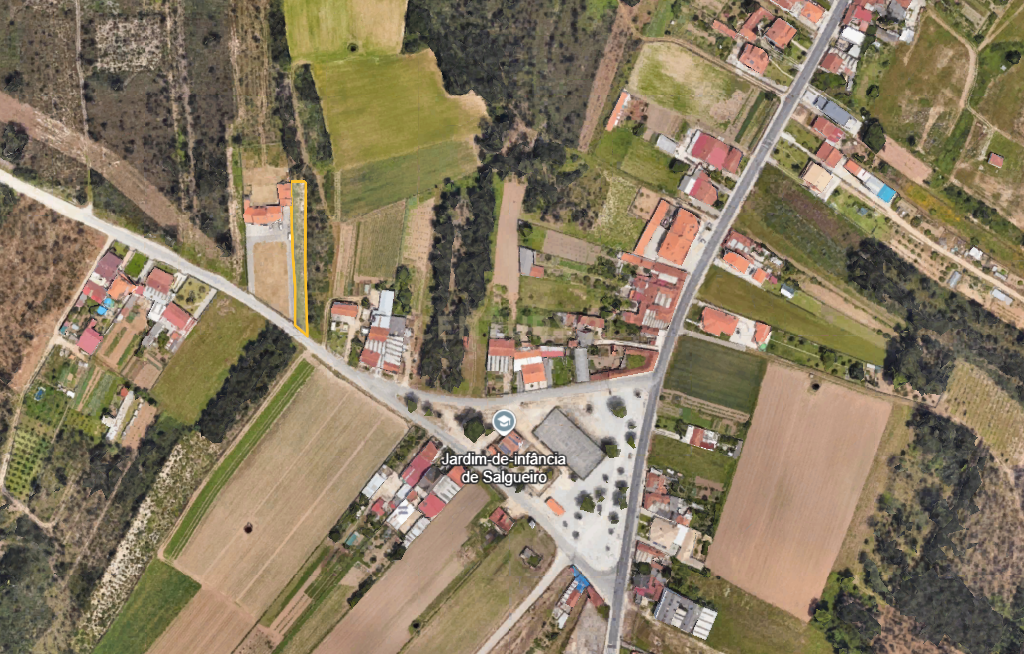 Terreno Rústico Novo em Vagos, Aveiro - Image 2