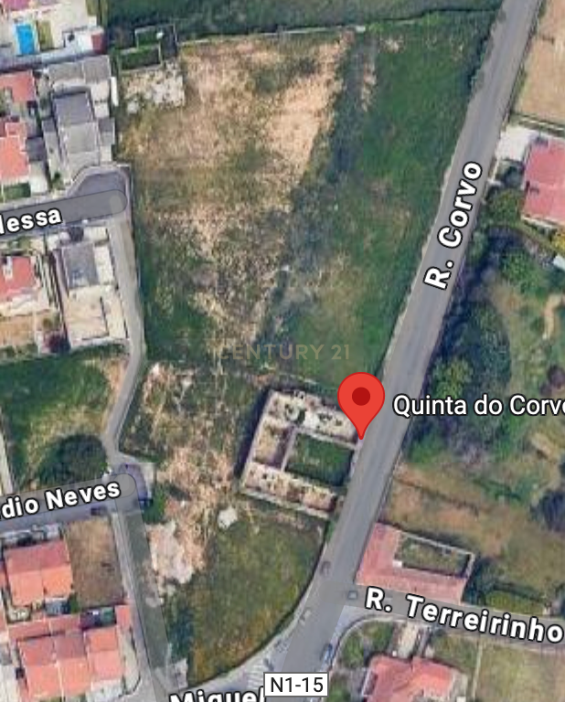 Palácio e Terreno na Quinta do Corvo em Arcozelo - Image 5
