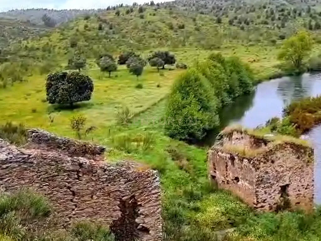 Herdade com Terreno Rústico de 39,7 ha e 1,7 km de Margem de Rio – Fronteira com Espanha - Image 2