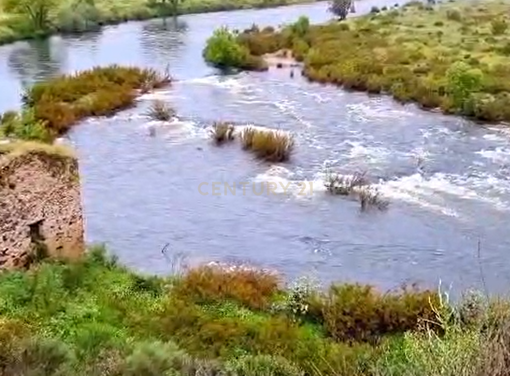 Herdade com Terreno Rústico de 39,7 ha e 1,7 km de Margem de Rio – Fronteira com Espanha - Image 8