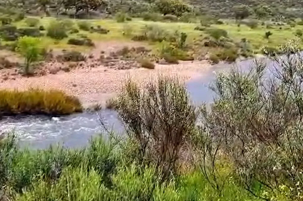 Herdade com Terreno Rústico de 39,7 ha e 1,7 km de Margem de Rio – Fronteira com Espanha - Image 9