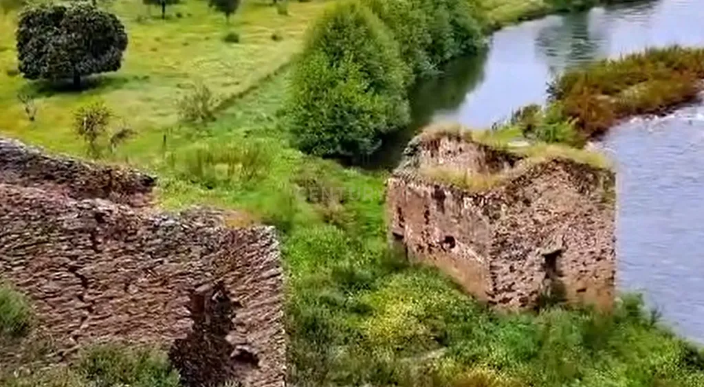 Herdade com Terreno Rústico de 39,7 ha e 1,7 km de Margem de Rio – Fronteira com Espanha - Image 10