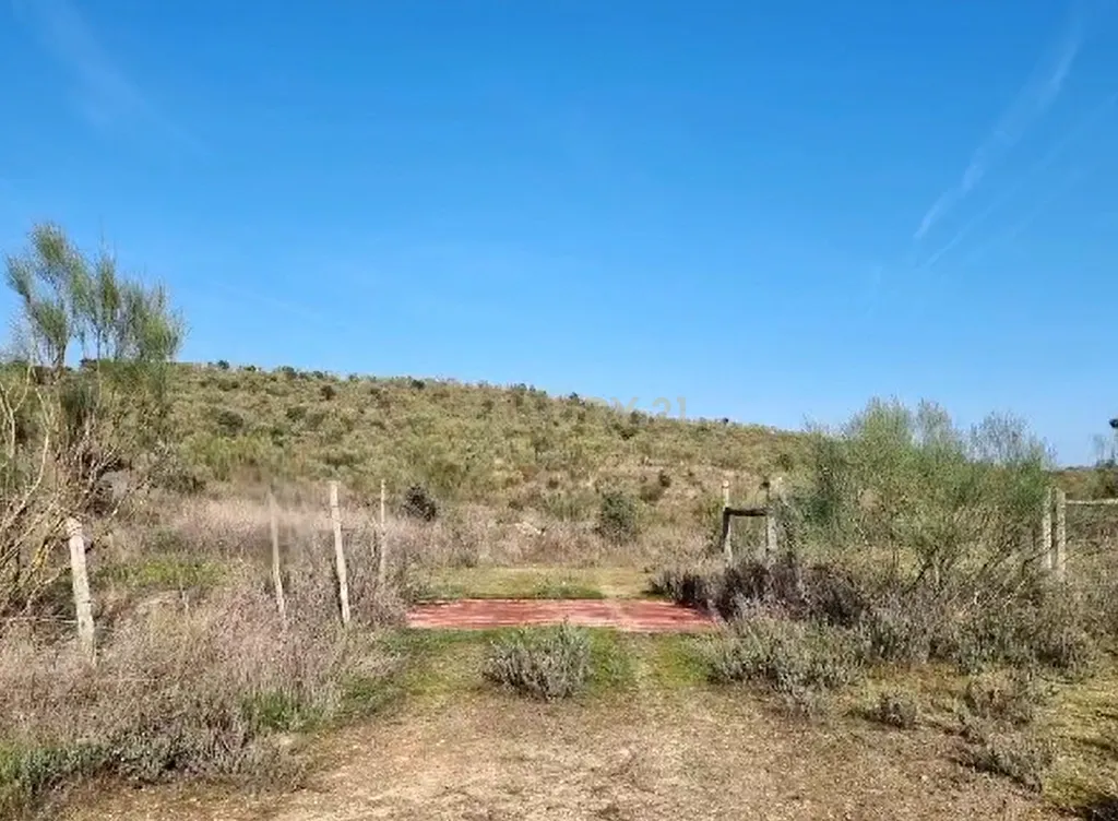 Herdade com Terreno Rústico de 39,7 ha e 1,7 km de Margem de Rio – Fronteira com Espanha - Image 6